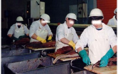 70% du temps de travail ne servait à rien